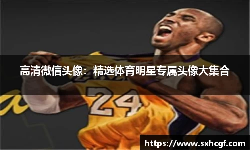 BB贝博ballbet