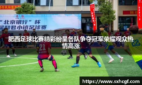肥西足球比赛精彩纷呈各队争夺冠军荣耀观众热情高涨