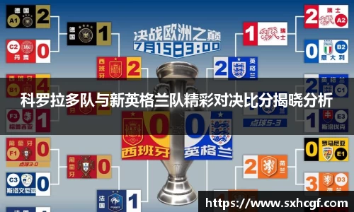 科罗拉多队与新英格兰队精彩对决比分揭晓分析