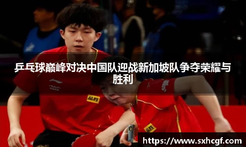 乒乓球巅峰对决中国队迎战新加坡队争夺荣耀与胜利
