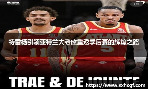 BB贝博登录入口