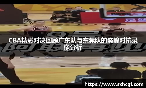 BB贝博登录入口