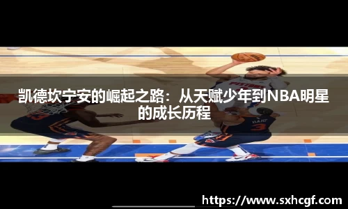 BB贝博ballbet